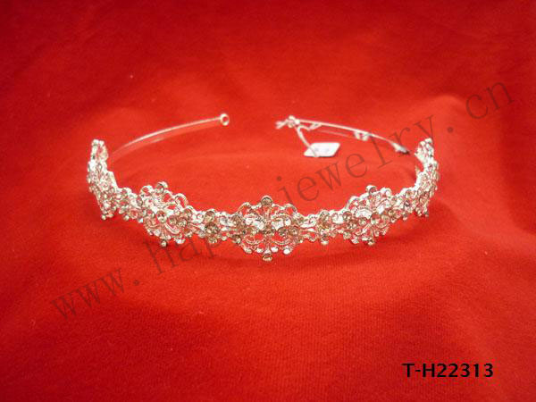 T-H22313