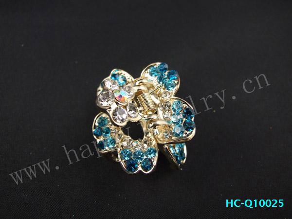 HC-Q10025