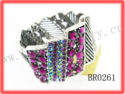 BR0261