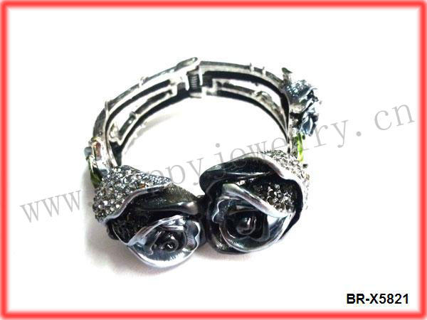 BR-X5821