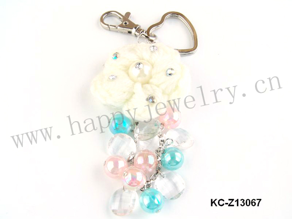 KC-Z13067