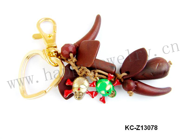KC-Z13079