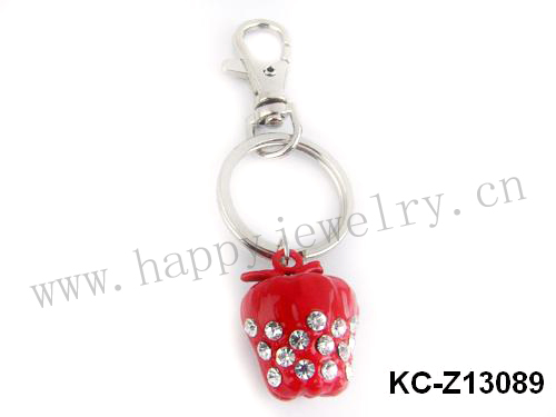 KC-Z13089