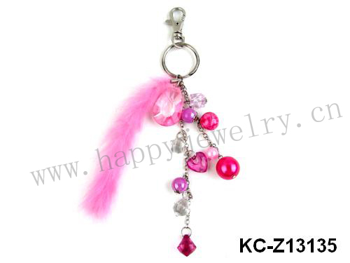 KC-Z13135