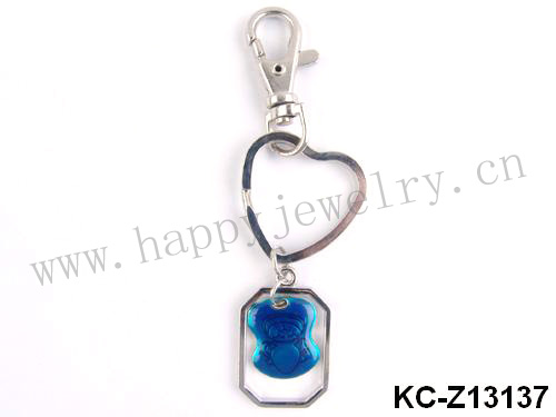 KC-Z13137