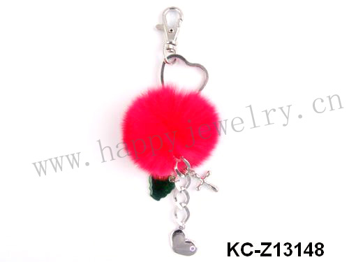 KC-Z13148