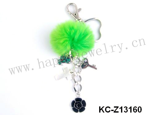 KC-Z13160