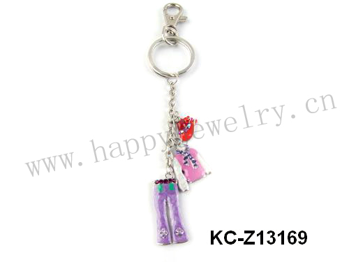 KC-Z13169