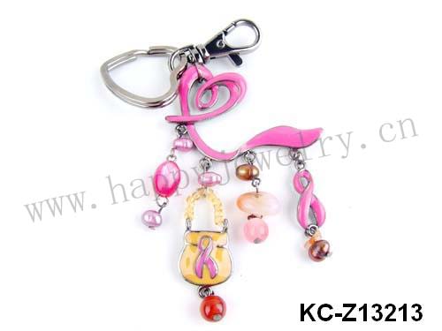 KC-Z13213