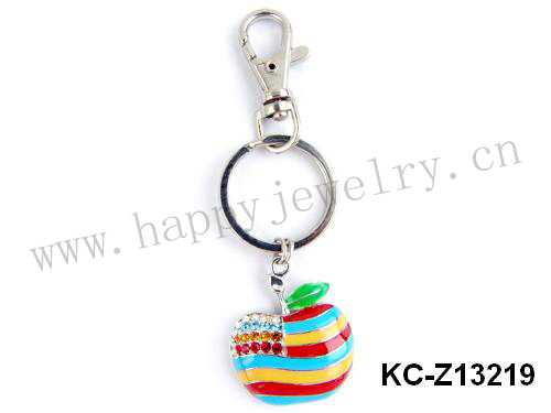 KC-Z13219