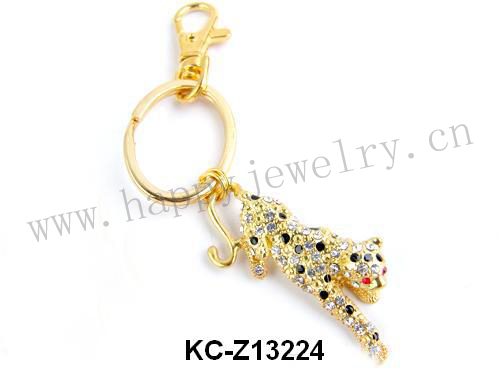 KC-Z13224
