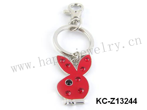KC-Z13244