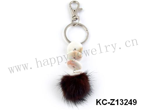 KC-Z13248