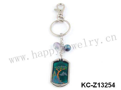 KC-Z13254