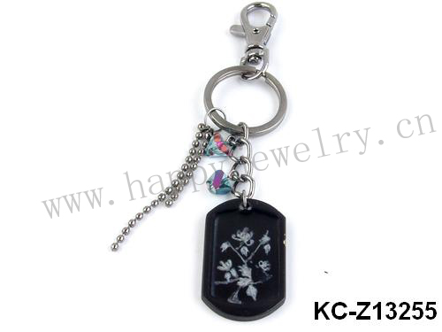 KC-Z13255