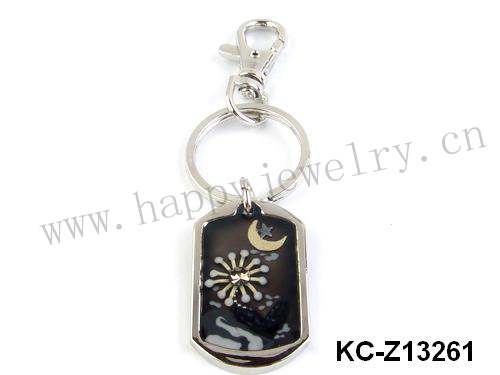KC-Z13261