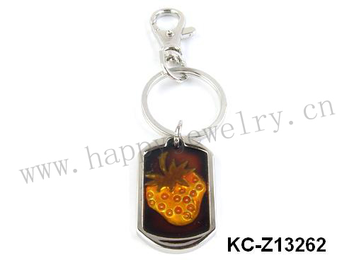 KC-Z13262