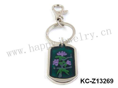 KC-Z13269