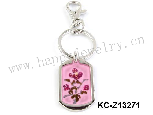 KC-Z13271
