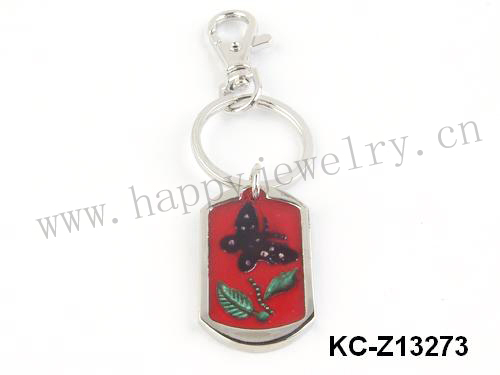 KC-Z13273