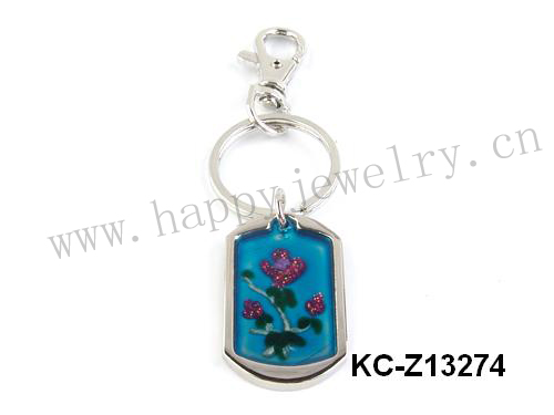 KC-Z13274