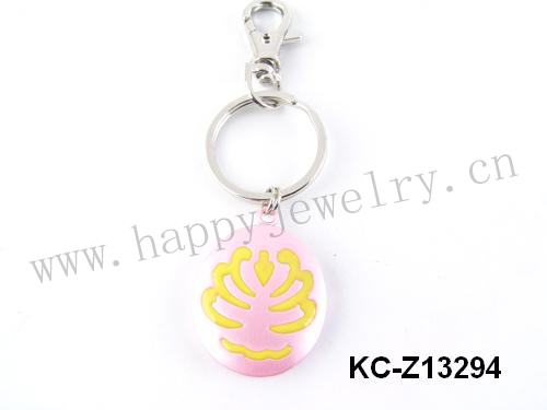 KC-Z13294