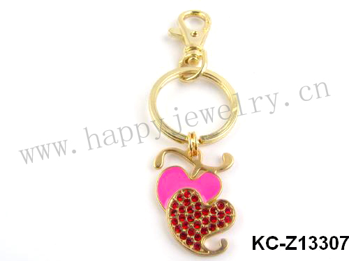 KC-Z13307