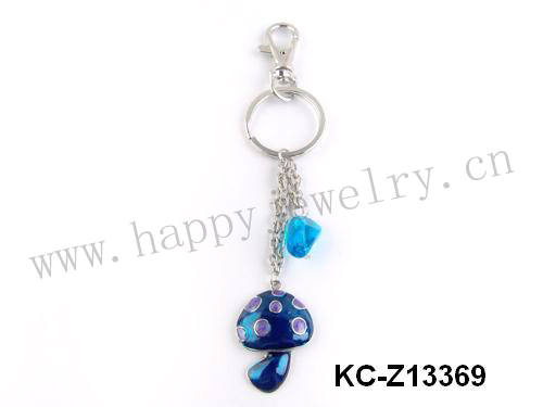 KC-Z13369
