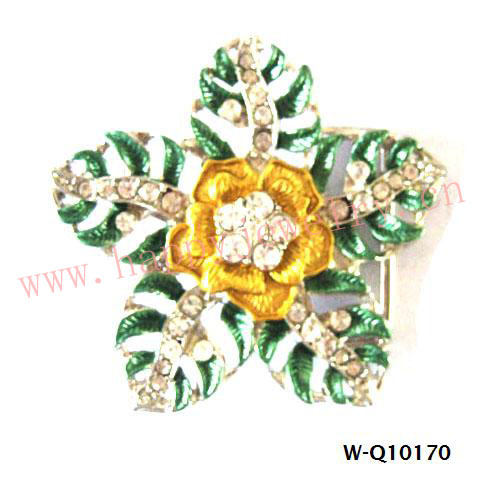 W-Q10170