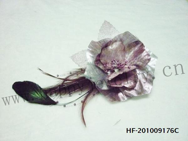HF-201009176C
