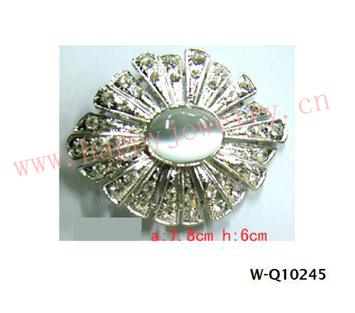 W-Q10245