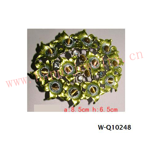 W-Q10248