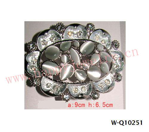 W-Q10251