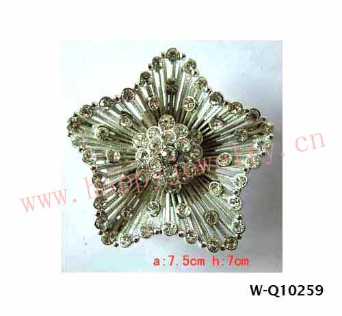W-Q10259