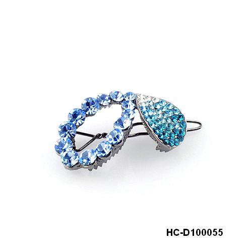 HC-D100055