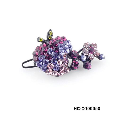HC-D100058