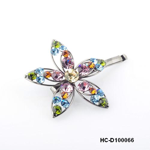 HC-D100066