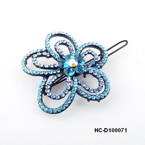 HC-D100071