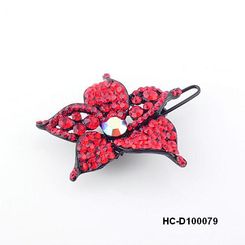 HC-D100079