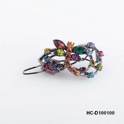 HC-D100100