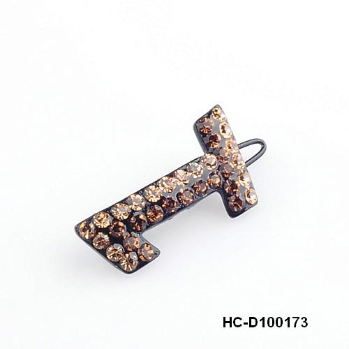 HC-D100173