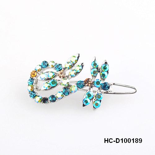 HC-D100189