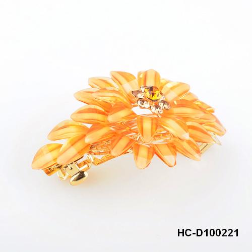 HC-D100221