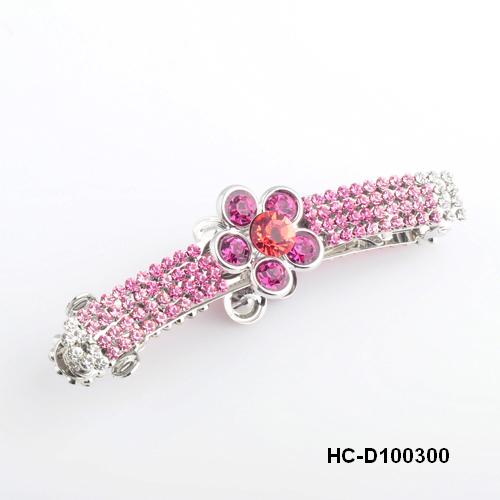 HC-D100300