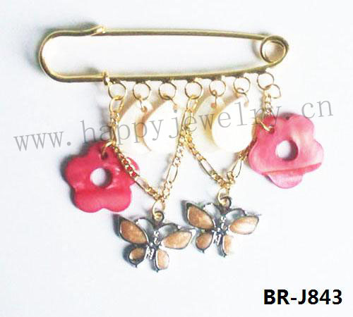 BR-J843