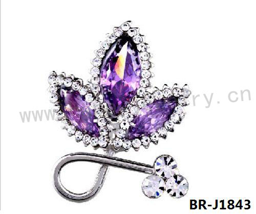 BR-J1843