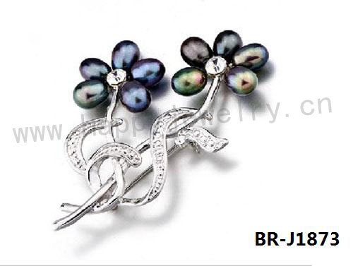 BR-J1873