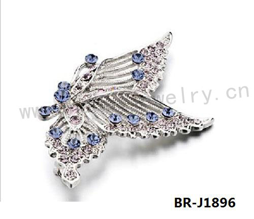 BR-J1896